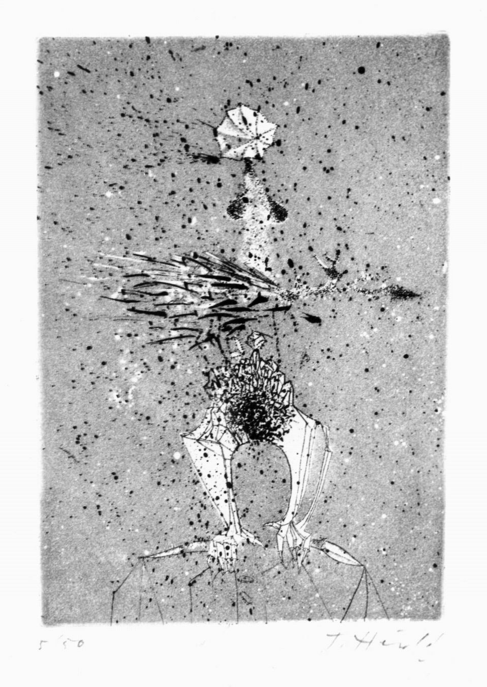 punti fuoco, figura (stampa) di Herold Jacques (sec. XX)