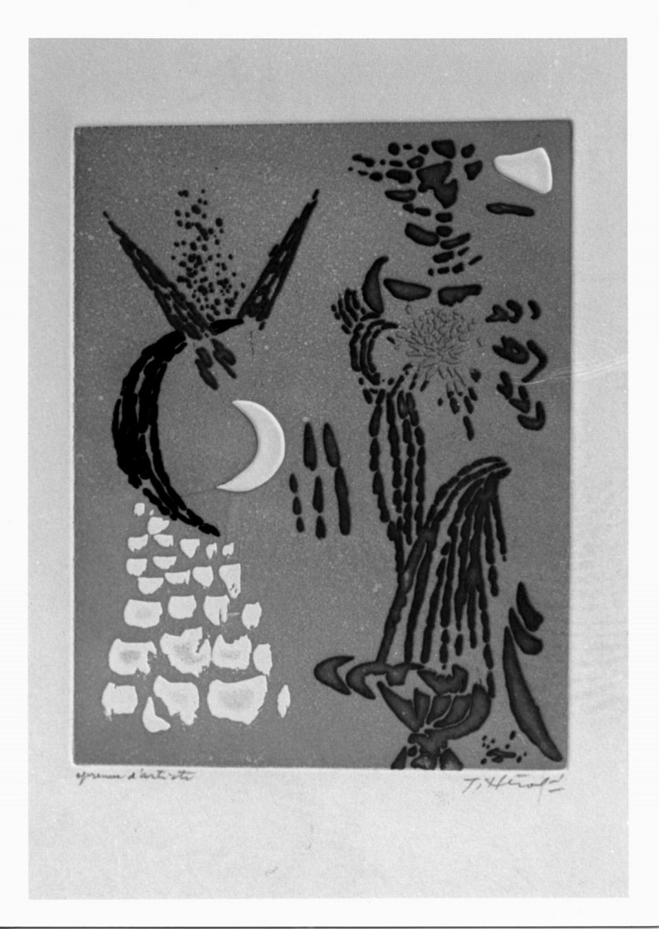 cielo con luna e fuochi d'artificio (stampa a colori) di Herold Jacques (sec. XX)