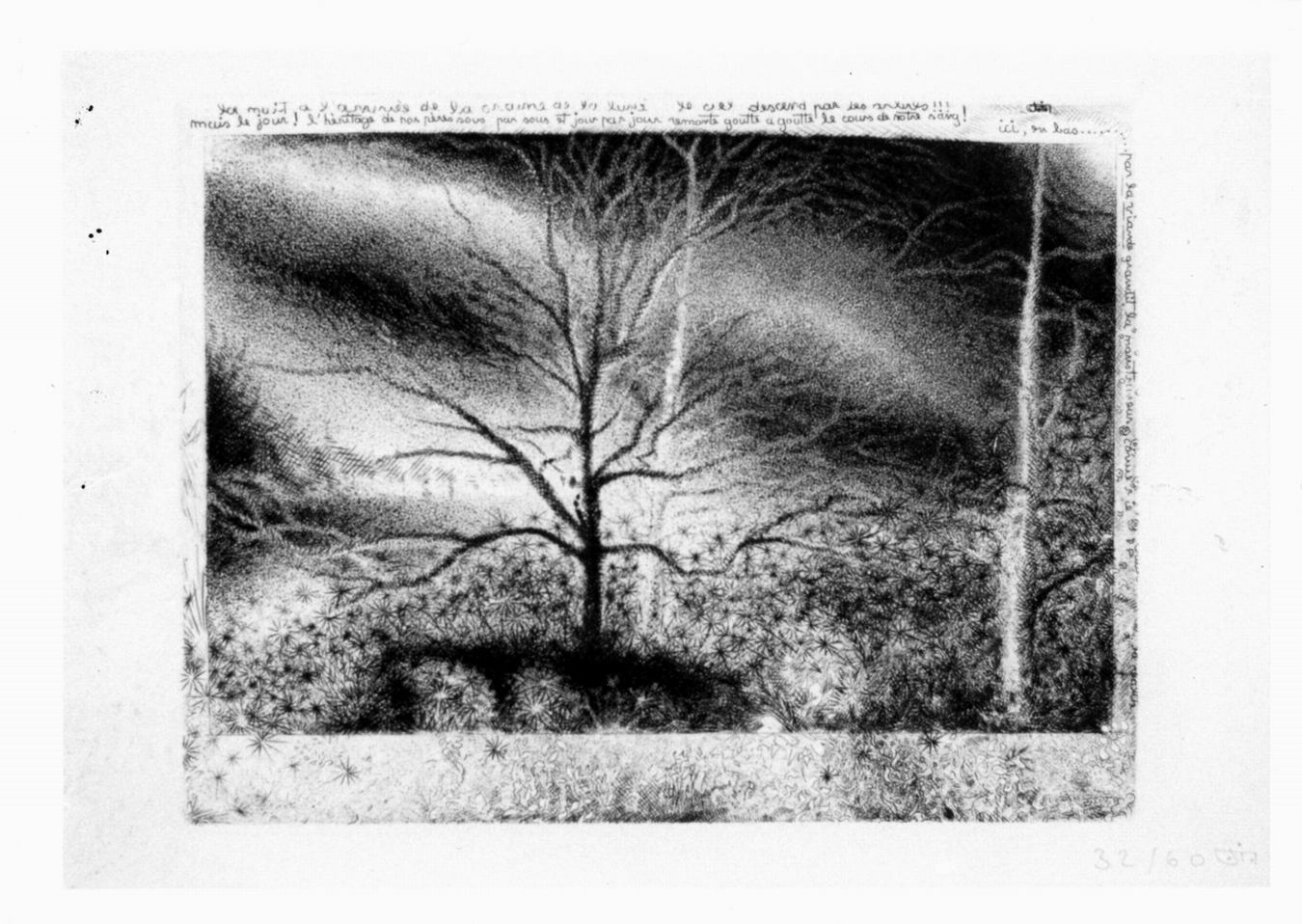 paesaggio con alberi (stampa) di Le Maréchal (sec. XX)