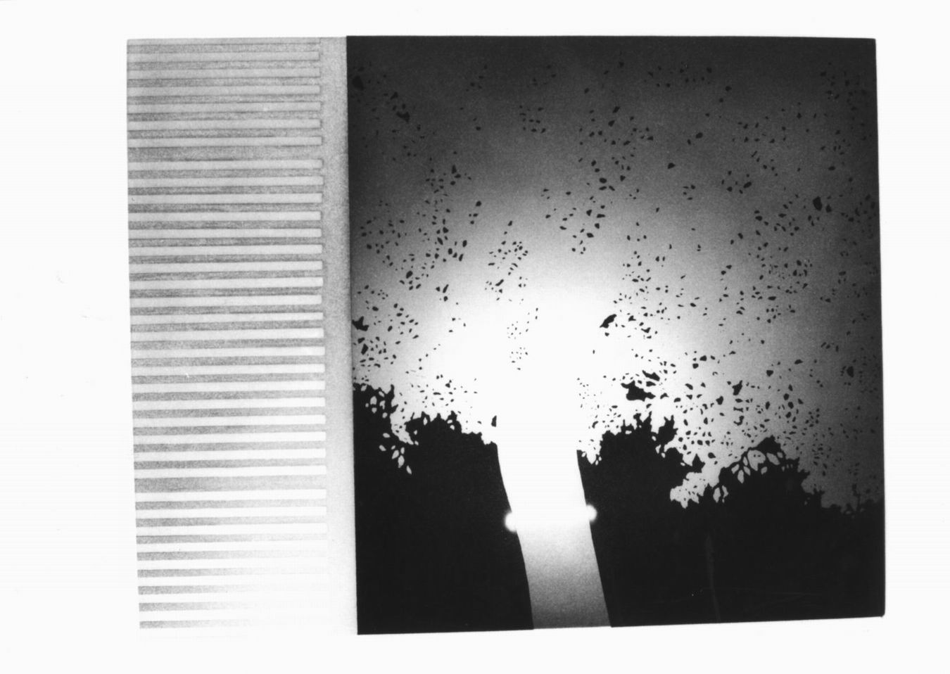 arbre, veduta da una finestra. Composizione astratta (stampa) di Solombre Jean (sec. XX)