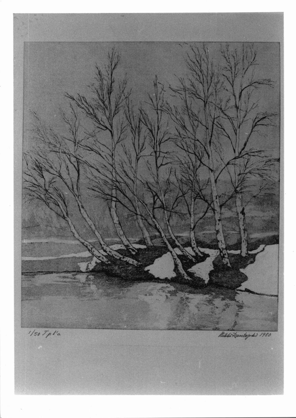 paesaggio con betulle (stampa) di Rautajoki Mikko (sec. XX)