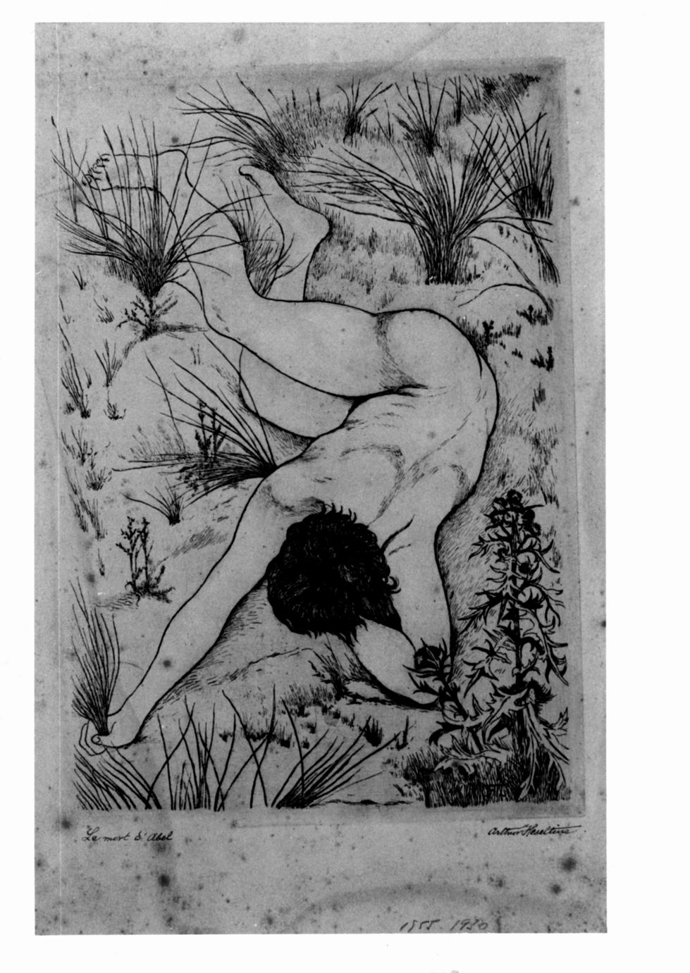 Nudo di giovane uomo a terra (stampa a colori) di Heseltine Arthur (sec. XX)