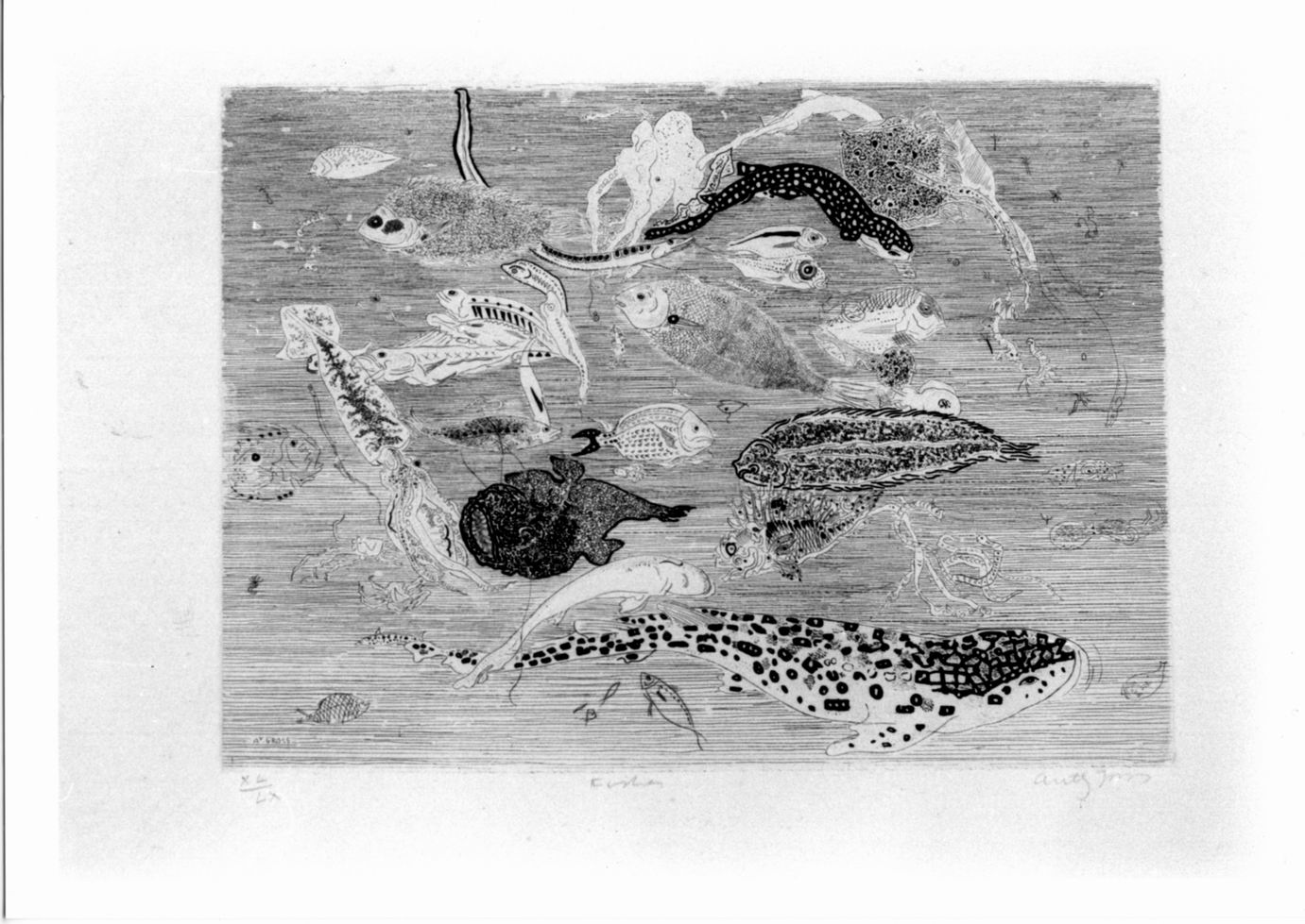 Pesci (stampa) di Gross Antony (sec. XX)