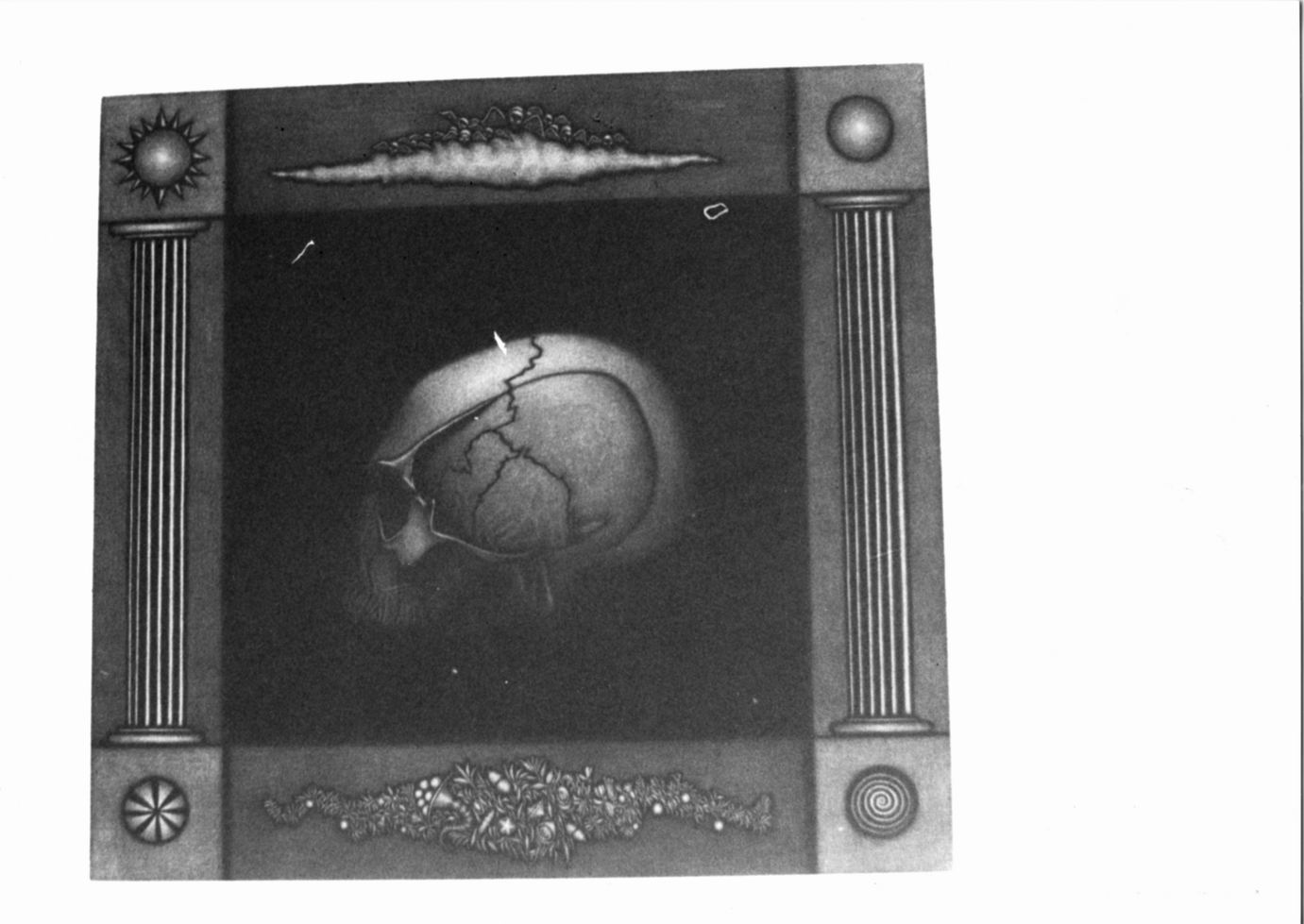 Teschio (stampa) di Marchant Leonard (sec. XX)