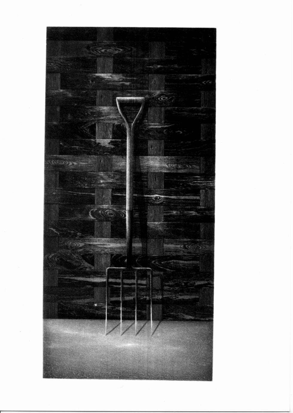 Forcone (stampa a colori) di Millington Terence (sec. XX)