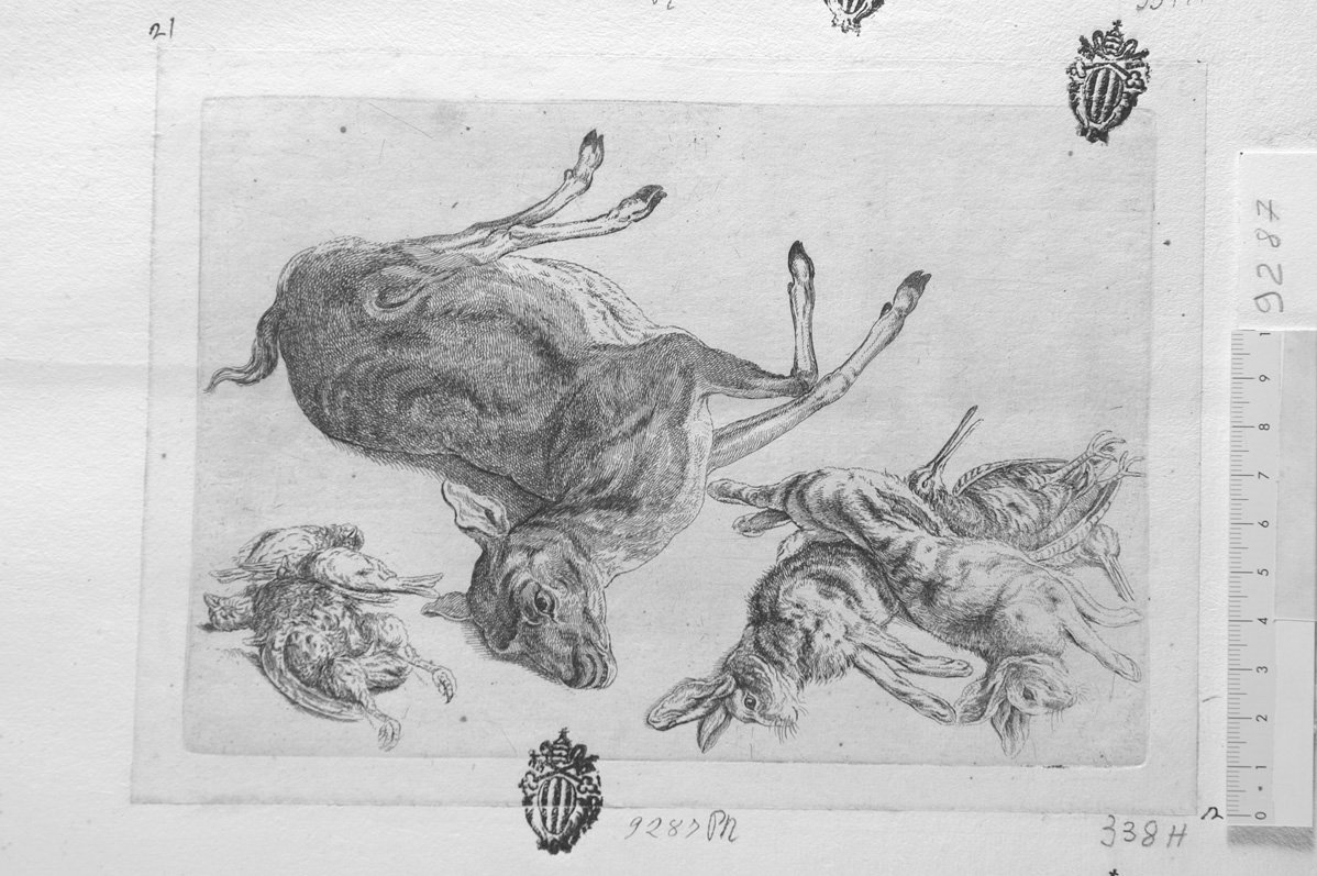 Soggetti di caccia dedicati a Theodoro Pavn: un daino, due lepri e quattro volatili morti (stampa) di Hollar Wenzel (sec. XVII)