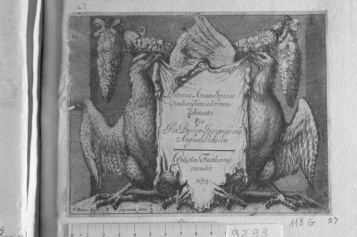 Diversae avium species: frontespizio (stampa) di Gaywood Robert, Barlow Francis (sec. XVII)