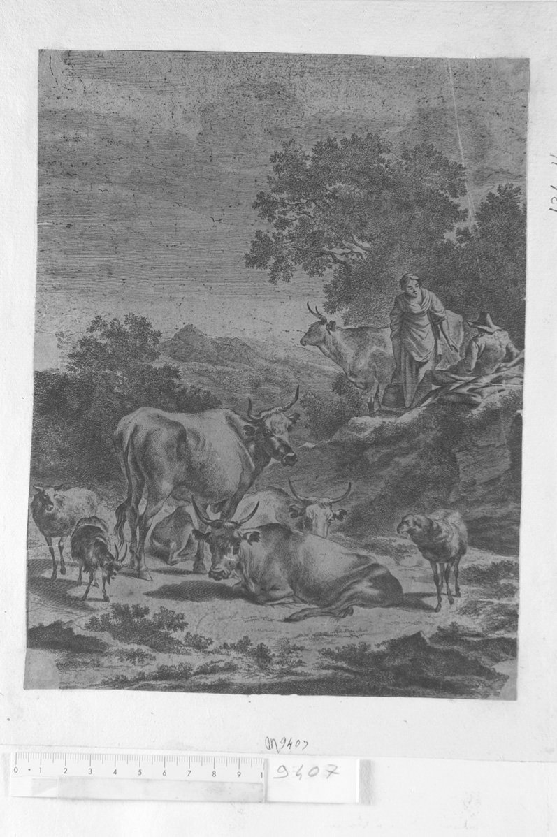 Diversa animalia quadrupedia: coppia di contadini, bovi e una pecora (stampa) di De Visscher Jan (attribuito) (sec. XVII)