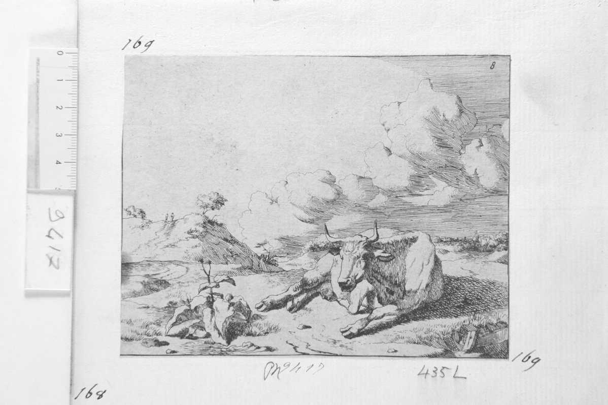 Vacca in riposo (stampa) di Landry Pierre (attribuito) (sec. XVII)
