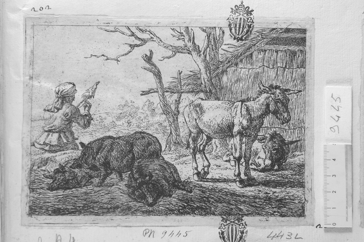 Animali vari: maiali ed asini (stampa) di Van Laer Pieter Jacobsz detto Bamboccio (sec. XVII)