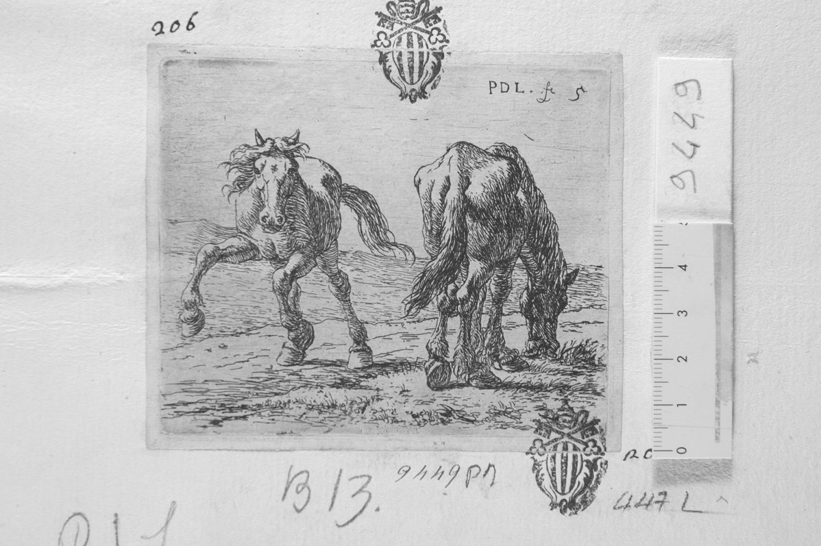 Animali vari: due cavalli al pascolo (stampa) di Van Laer Pieter Jacobsz detto Bamboccio (sec. XVII)