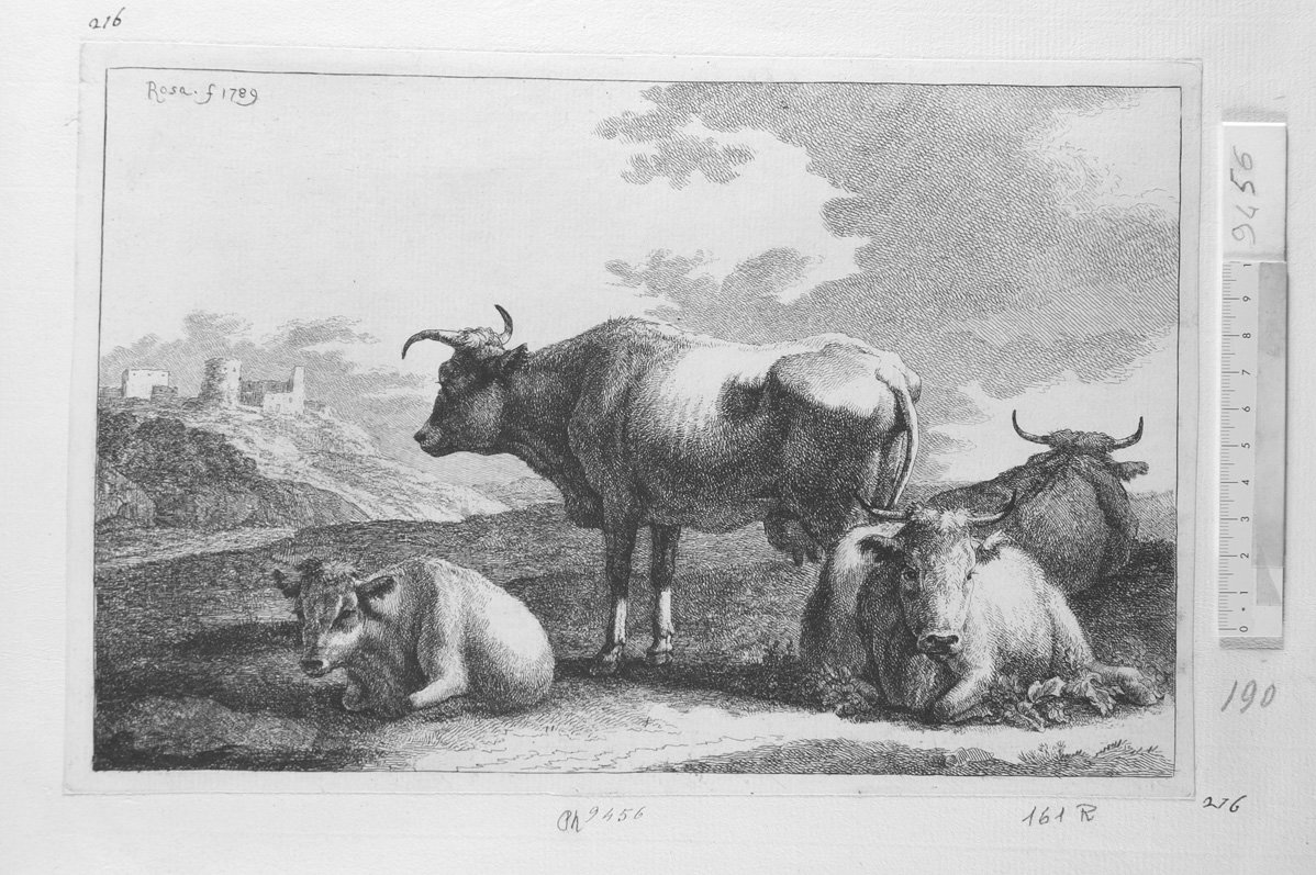 Quattro vacche a lriposo (stampa) di Roos Joseph (sec. XVII)