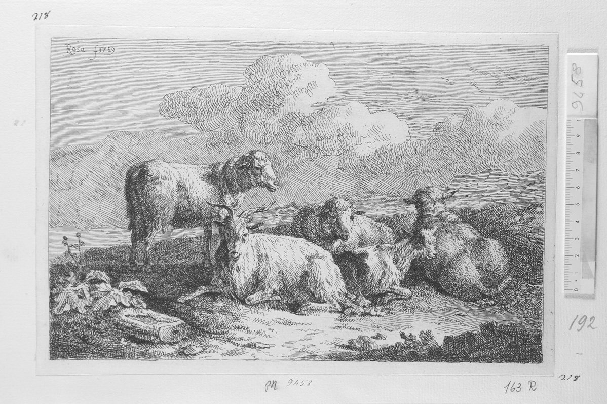 Animali diversi: montone e quattro pecore (stampa) di Roos Joseph (sec. XVII)