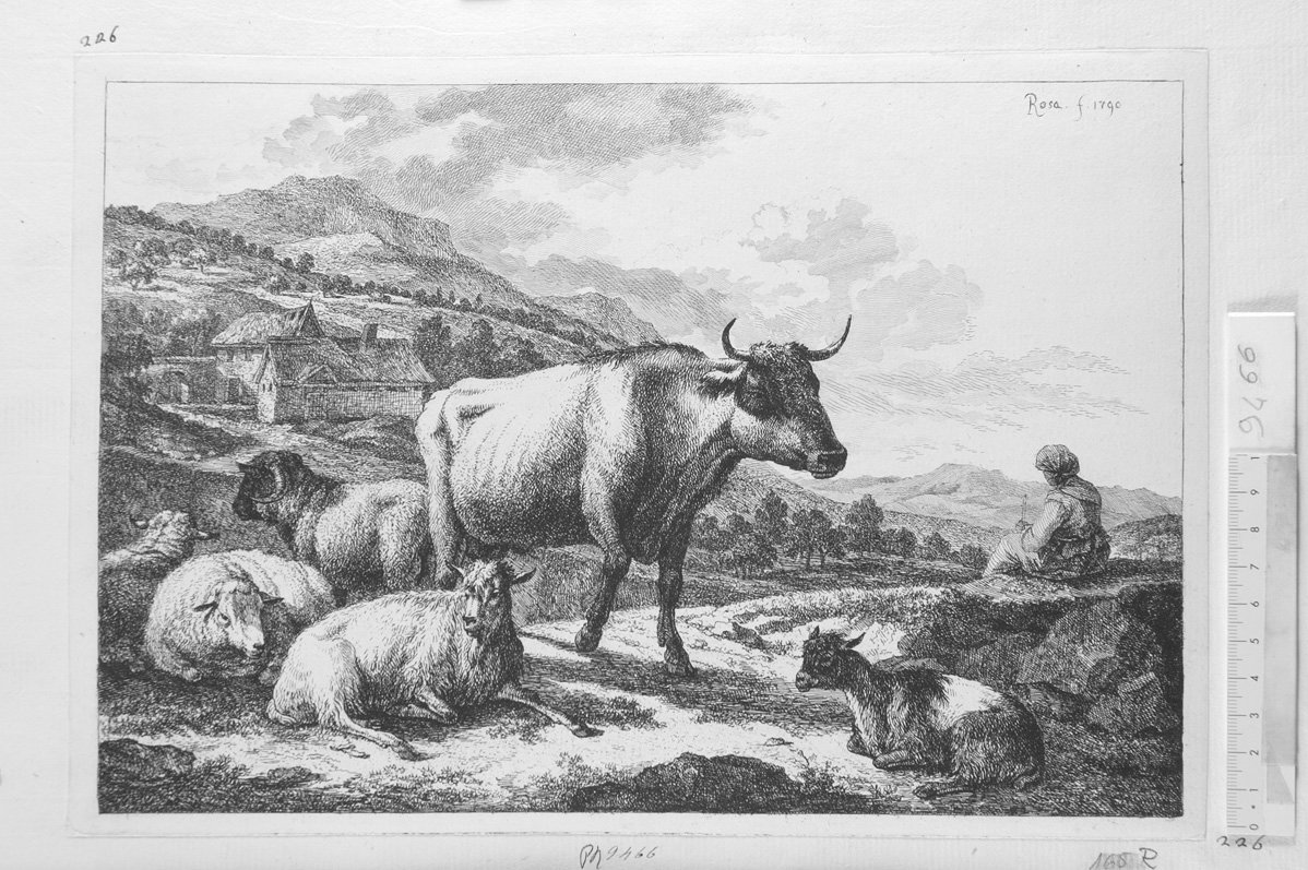 Pastorella, vacca e pecora (stampa) di Roos Joseph (sec. XVII)