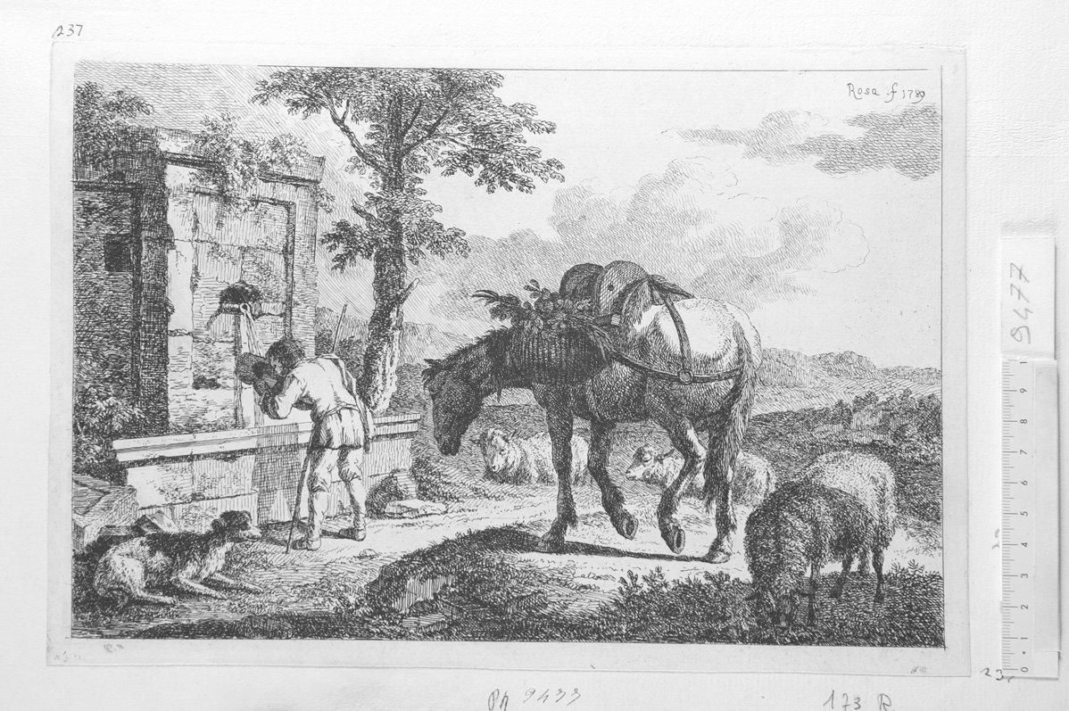 Animali diversi: pastore alla fonte con asino (stampa) di Roos Joseph (sec. XVII)