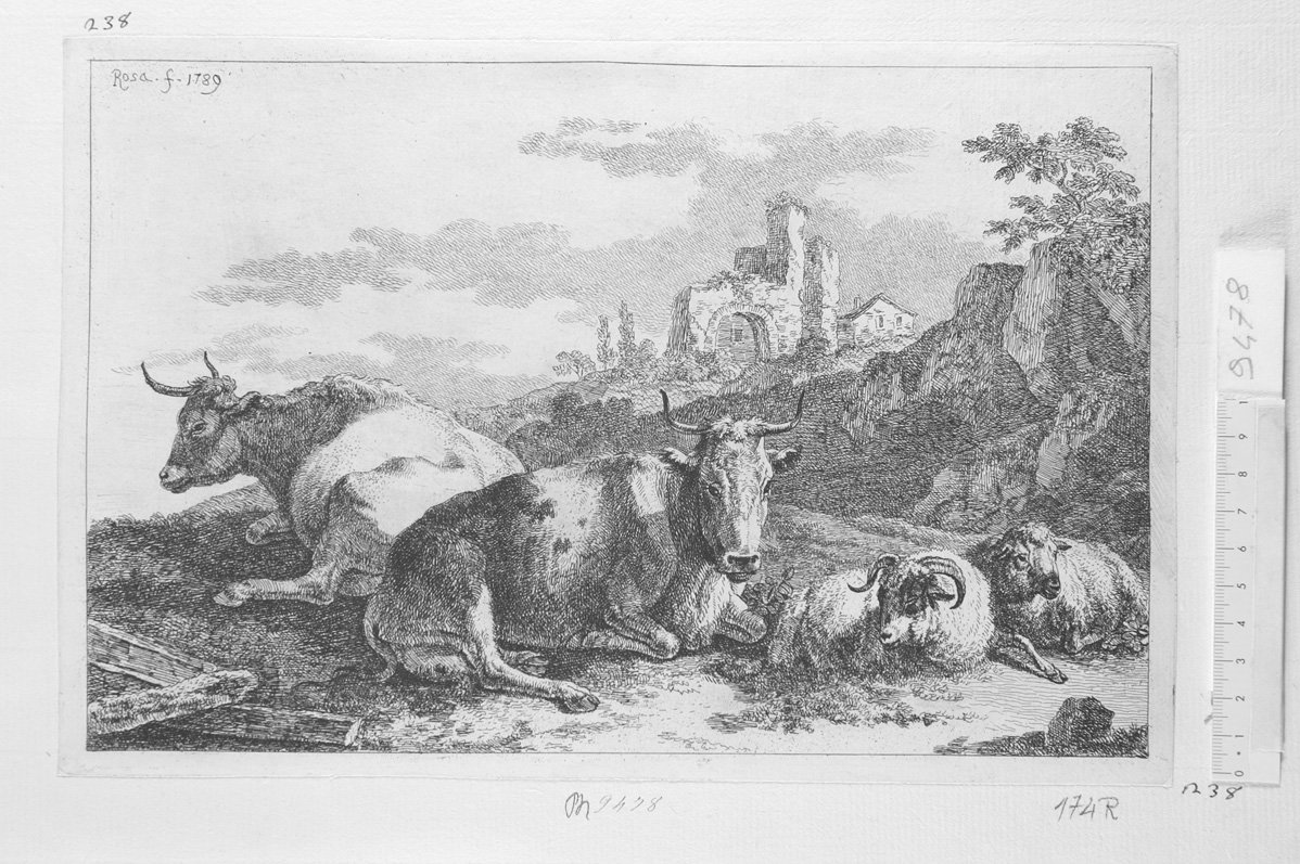 Animali diversi: due vacche; un caprone; una pecora (stampa) di Roos Joseph (sec. XVII)