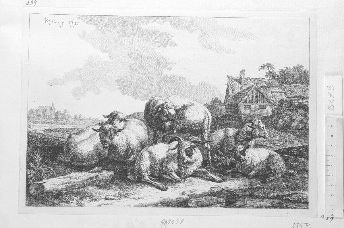 Animali diversi: un montone e cinque pecore (stampa) di Roos Joseph (sec. XVII)