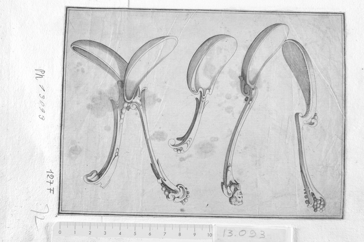 Cinque cucchiai cesellati (stampa) - ambito tedesco (sec. XVII)