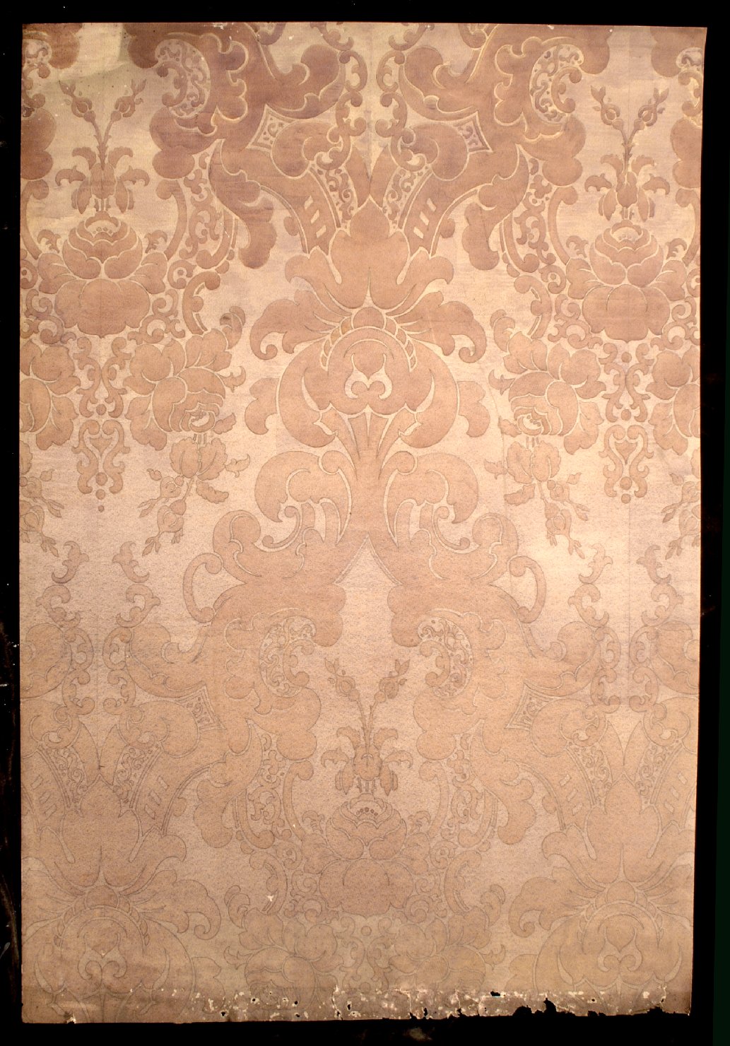 motivi decorativi vegetali stilizzati (disegno) - ambito bolognese (prima metà sec. XX)