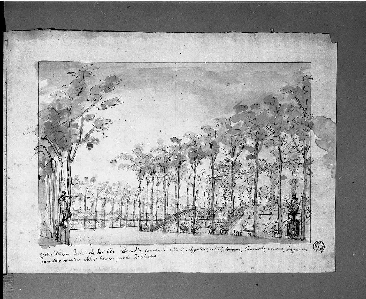 giardini vasti con pergolati (disegno) di Galliari Giuseppino (attribuito) (sec. XVIII)