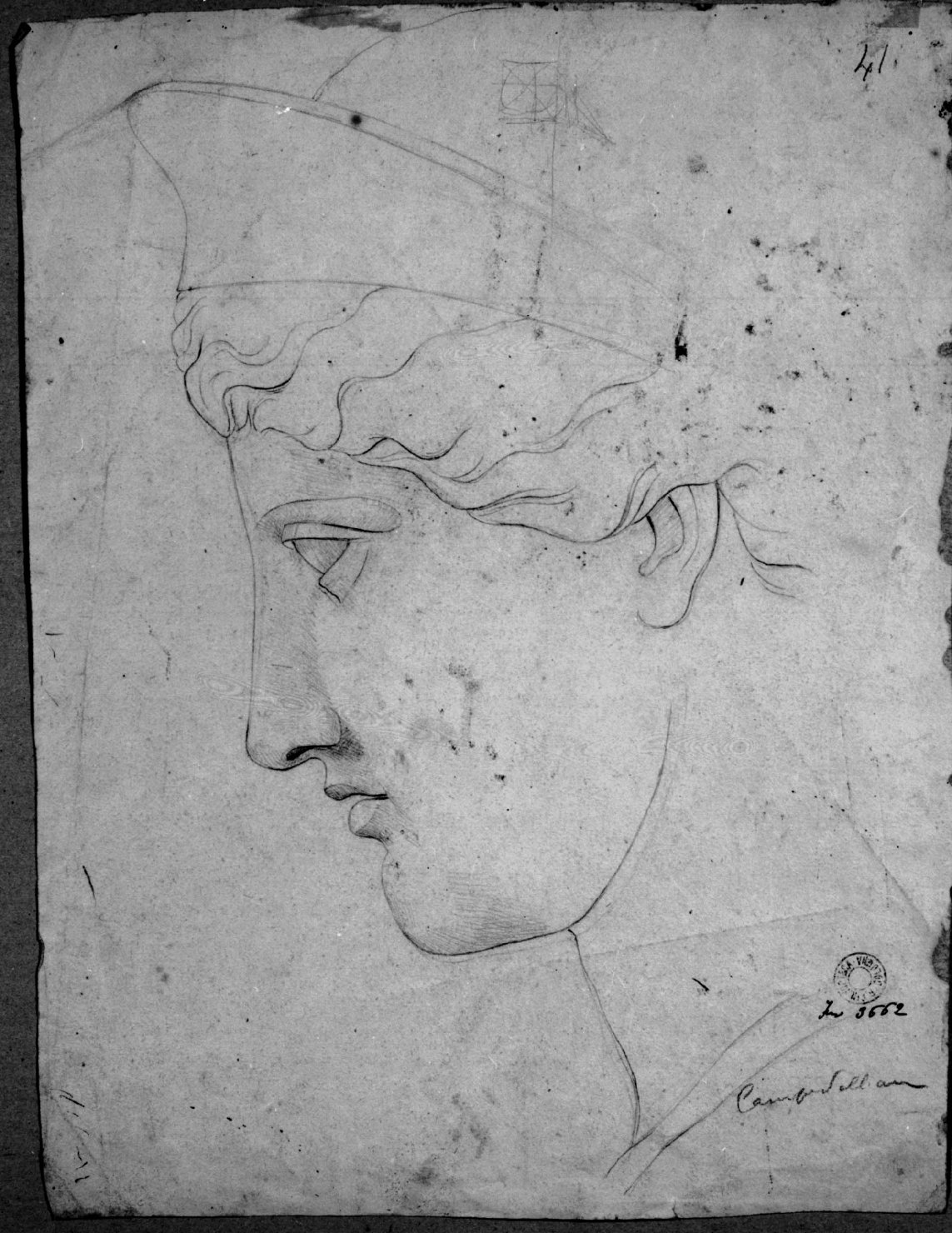 Testa femminile (disegno) di Campedelli Ottavio (attribuito) (sec. XIX)