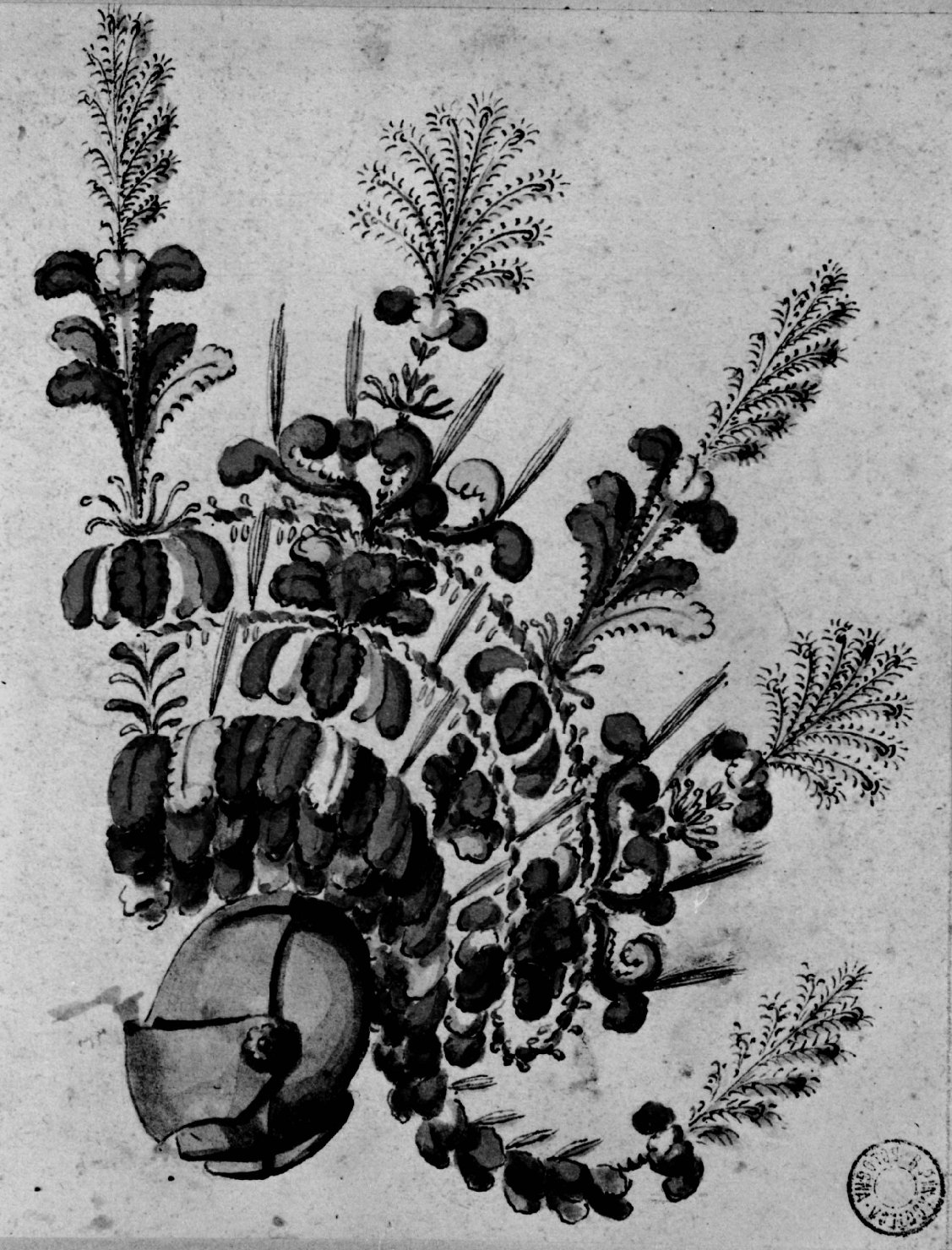 elmo piumato (disegno) - ambito emiliano (seconda metà sec. XVIII)