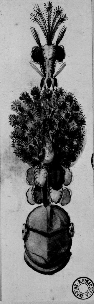 elmo piumato (disegno) - ambito emiliano (seconda metà sec. XVIII)