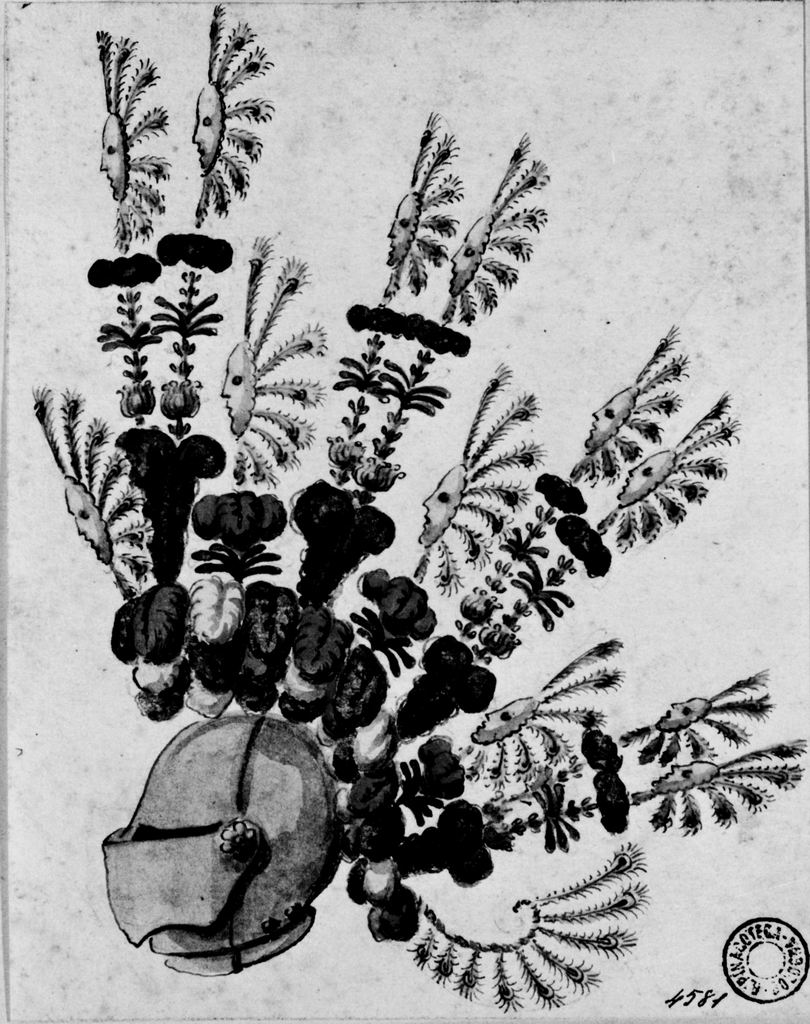 elmo piumato (disegno) - ambito emiliano (seconda metà sec. XVIII)