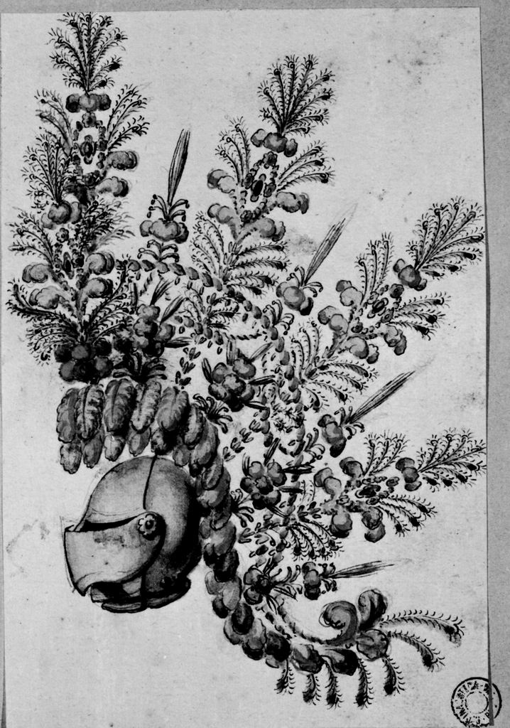 elmo piumato (disegno) - ambito emiliano (seconda metà sec. XVIII)