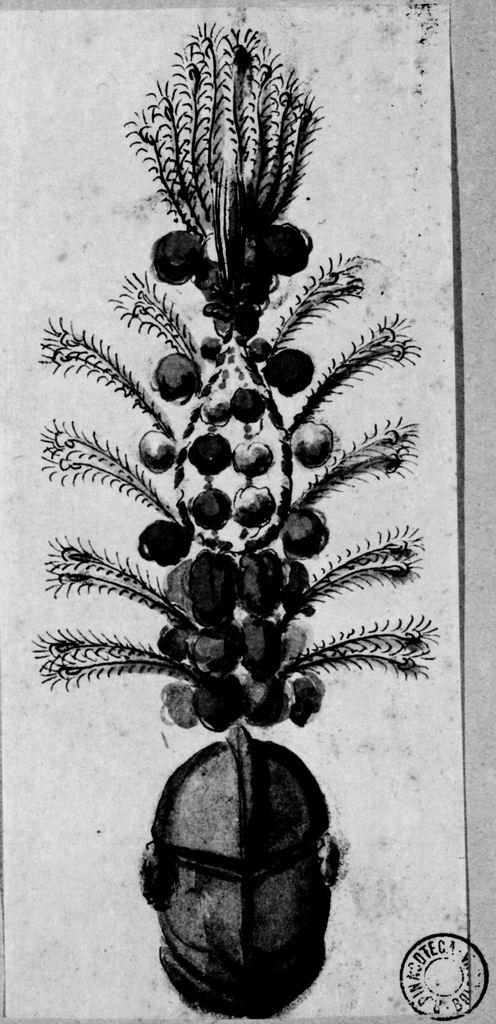 elmo piumato (disegno) - ambito emiliano (seconda metà sec. XVIII)