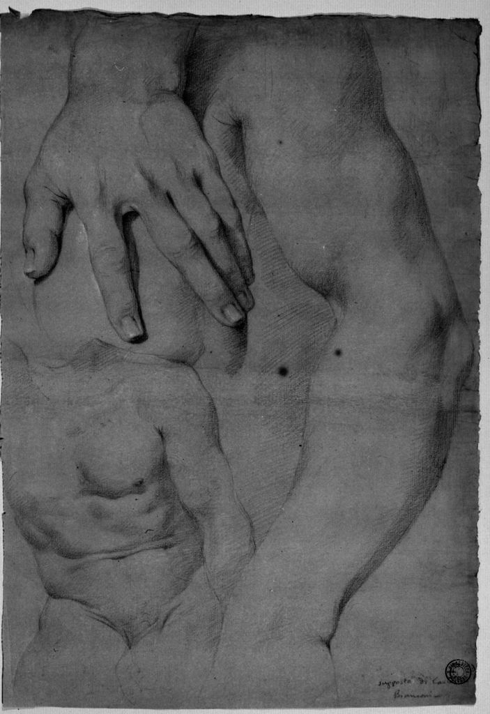 Busto, mano e braccio maschili (disegno) di Bianconi Carlo (sec. XVIII)