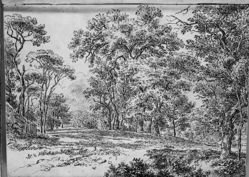 paesaggio (disegno, elemento d'insieme) di Campedelli Ottavio (metà sec. XIX)