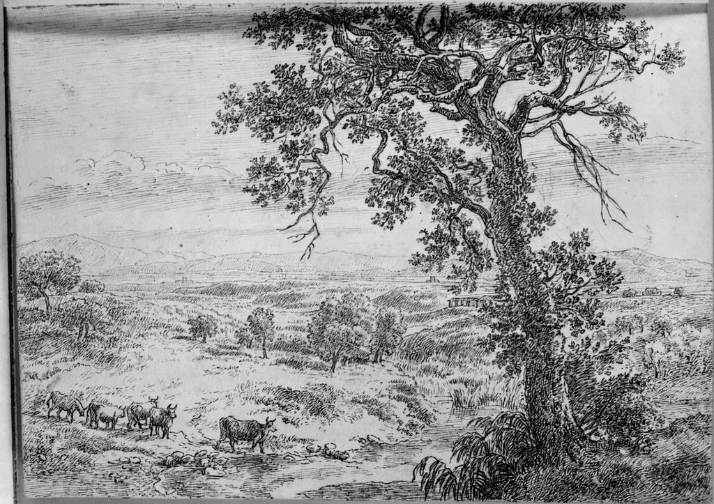 paesaggio fluviale (disegno, elemento d'insieme) di Campedelli Ottavio (metà sec. XIX)