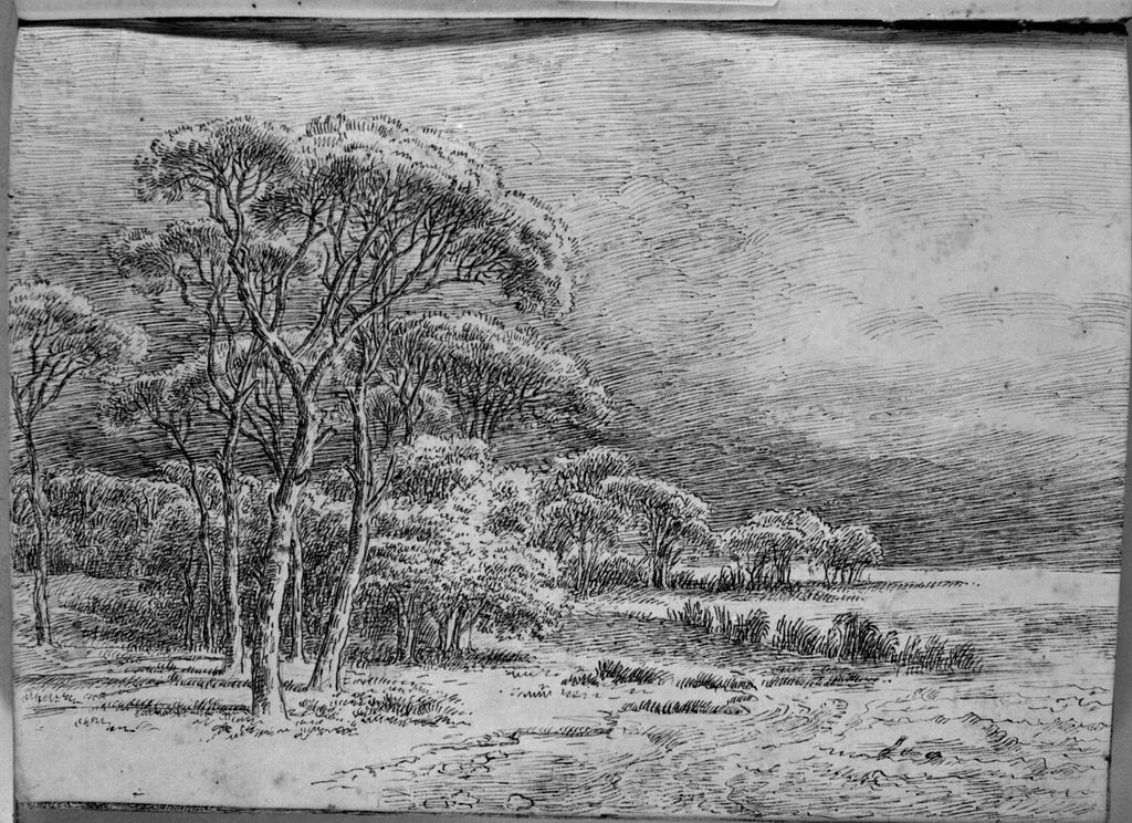 paesaggio lacustre (disegno, elemento d'insieme) di Campedelli Ottavio (metà sec. XIX)