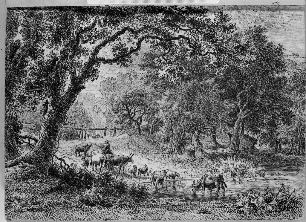 paesaggio rurale (disegno, elemento d'insieme) di Campedelli Ottavio (metà sec. XIX)