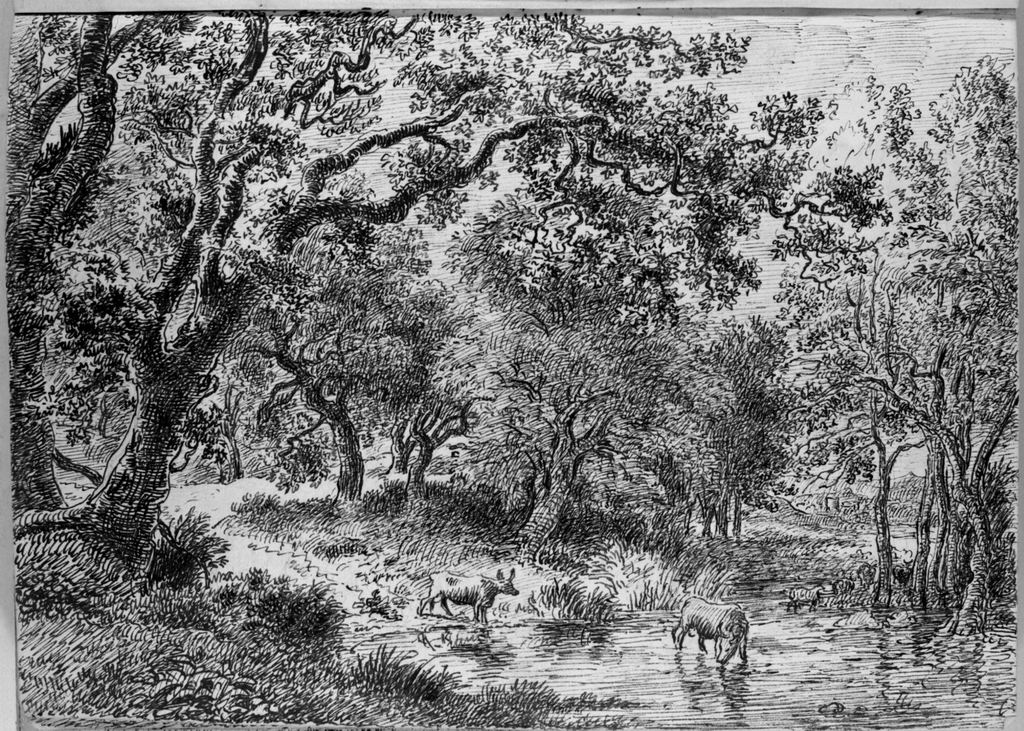 paesaggio rurale (disegno, elemento d'insieme) di Campedelli Ottavio (metà sec. XIX)