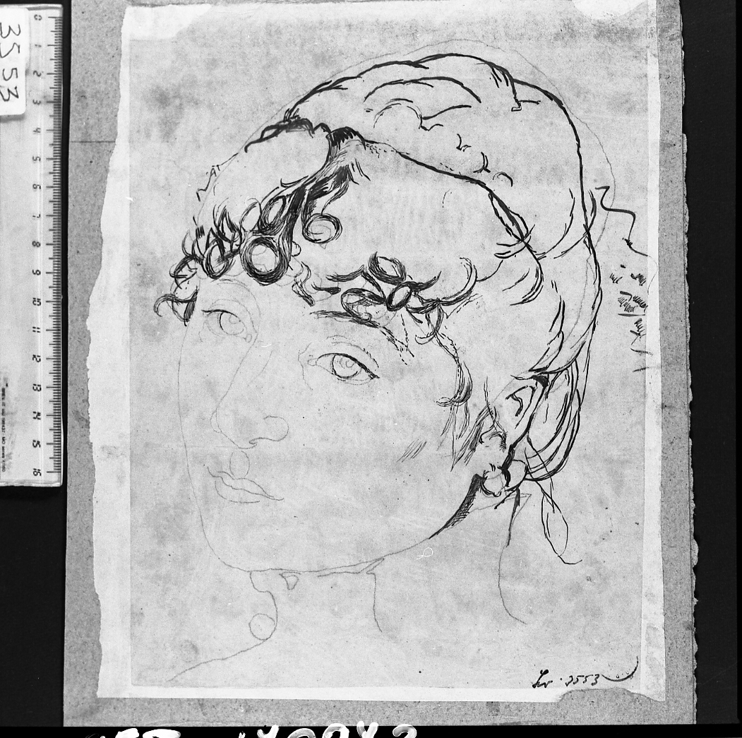 studio per il ritratto della signora Deserti (disegno) di Serra Lugi (sec. XIX)