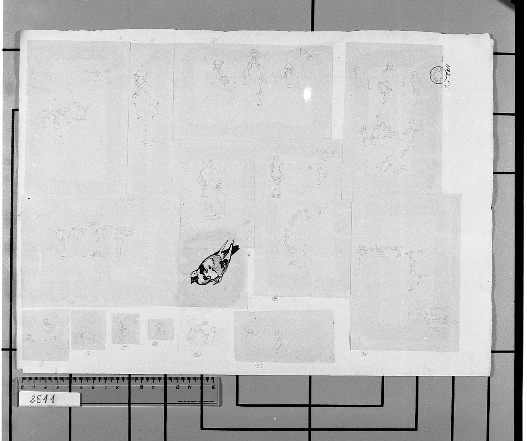 studio di testa (disegno, elemento d'insieme) di Serra Lugi (sec. XIX)
