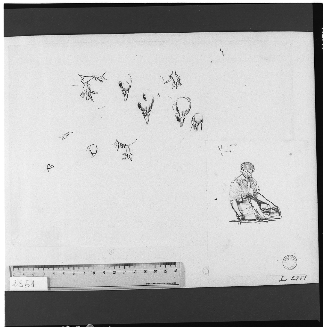 studio di volatili (disegno, elemento d'insieme) di Serra Lugi (sec. XIX)
