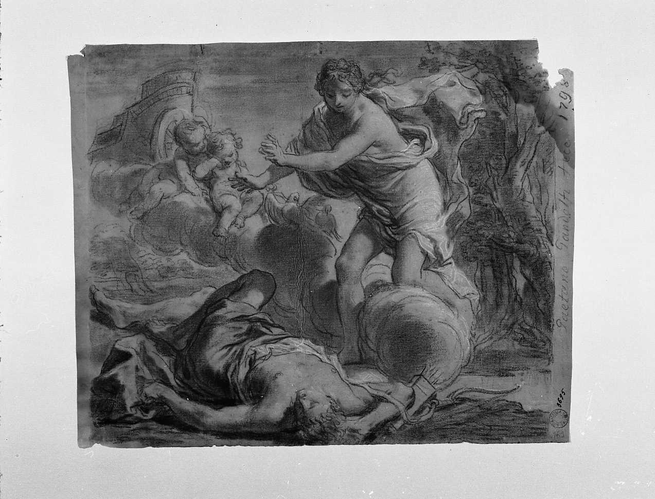morte di Adone (disegno, opera isolata) di Gandolfi Gaetano (sec. XVIII)