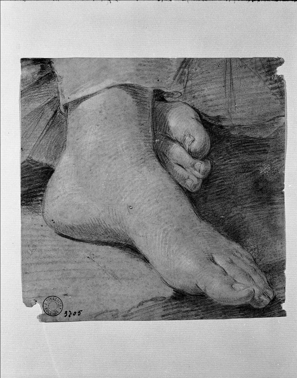 studio di piede (disegno, opera isolata) di Gandolfi Ubaldo (attribuito) (sec. XVIII)