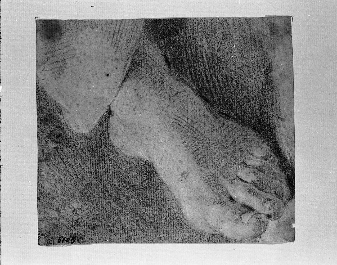 studio di piede (disegno, opera isolata) di Gandolfi Ubaldo (attribuito) (sec. XVIII)