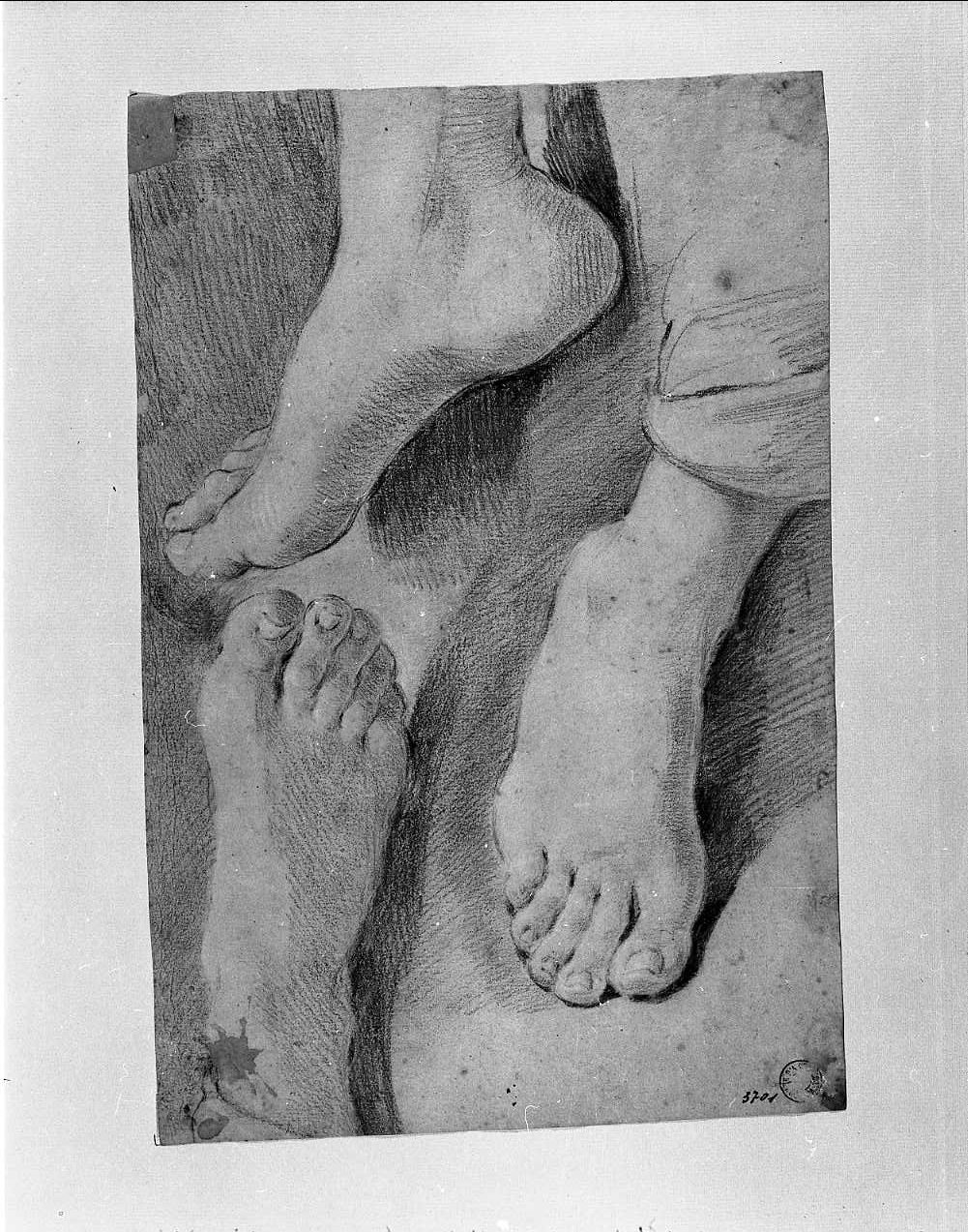 studi di tre piedi (disegno, opera isolata) di Gandolfi Ubaldo (attribuito) (sec. XVIII)