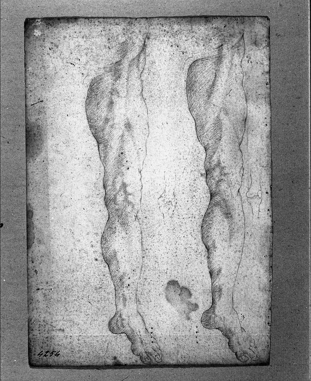 mezzo busto di bambino/ studio di gambe (disegno, opera isolata) di Gandolfi Gaetano (maniera) (sec. XIX)