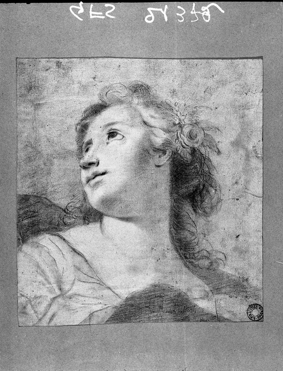 testa di figura femminile volta a sinistra (disegno, opera isolata) di Gandolfi Gaetano (maniera) (fine/inizio secc. XVIII/ XIX)