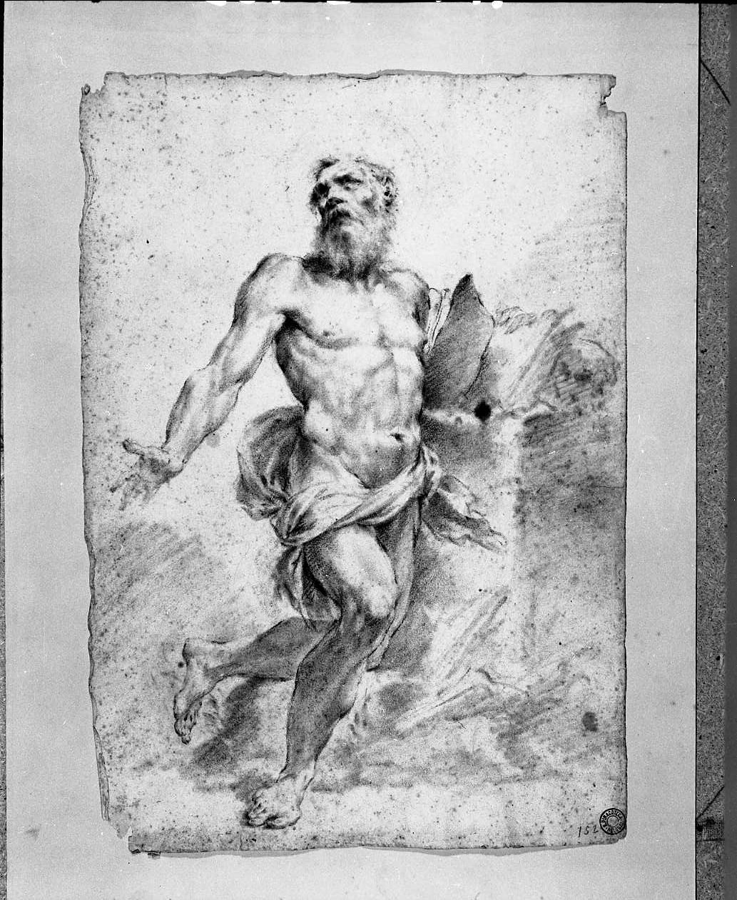 studio di San Girolamo (disegno, opera isolata) di Monti Francesco (attribuito) (sec. XVIII)