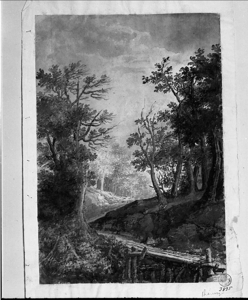 boscaglia con viottolo in mezzo (disegno, opera isolata) di Martinelli Vincenzo (scuola) (secc. XVIII/ XIX)