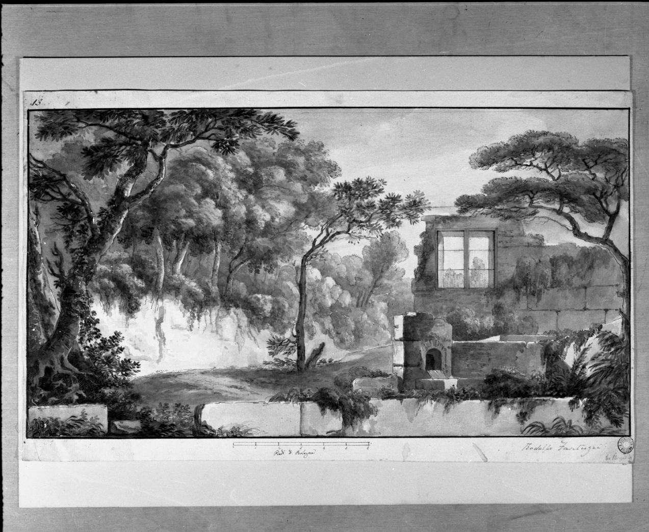 strada di campagna con alberi (disegno) di Fantuzzi Rodolfo (prima metà sec. XIX)