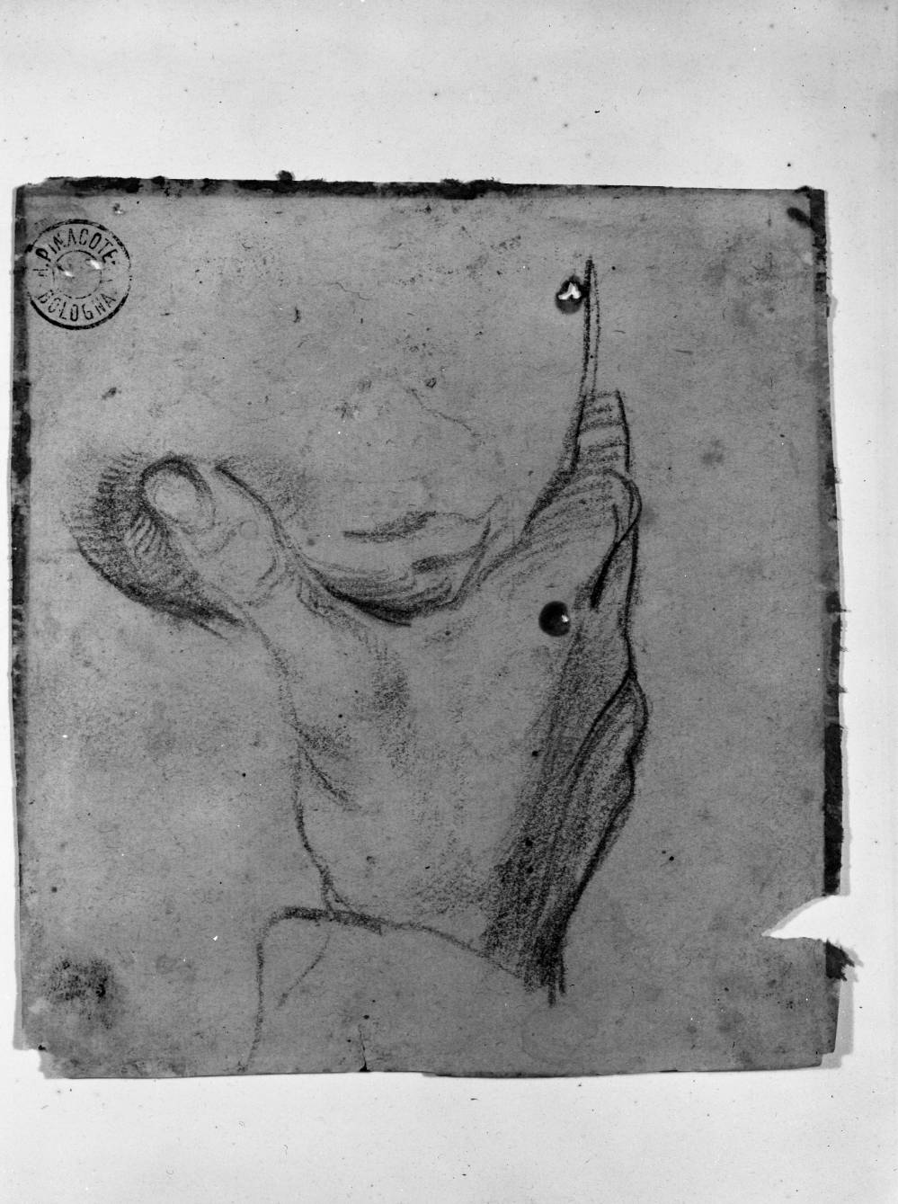 studio di mano appoggiata ad un mento (disegno, elemento d'insieme) di Carracci Agostino (attribuito) (sec. XVI)