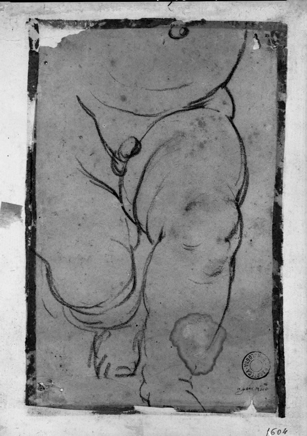 studio per la parte inferiore di un putto (disegno, elemento d'insieme) di Carracci Agostino (attribuito) (sec. XVI)